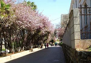 094-Quentin - Kunming 